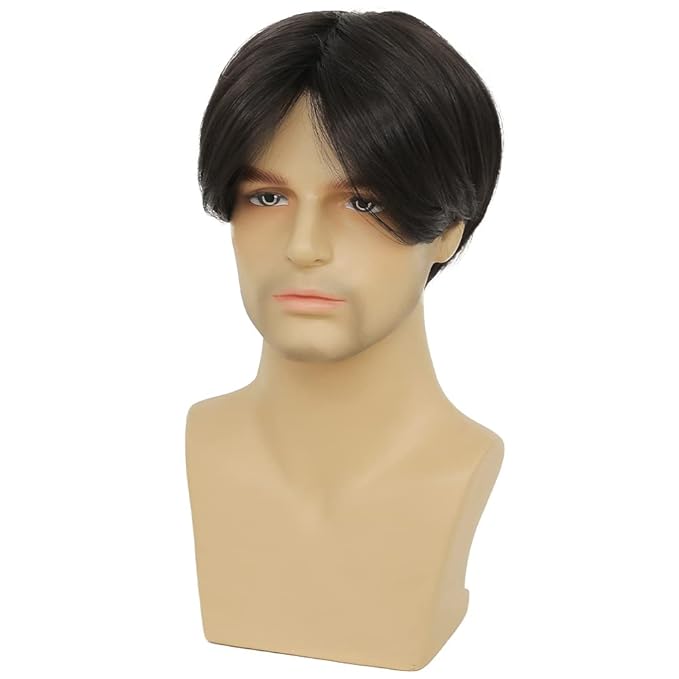 Kaneles Mens Short Black Straight Wigs Natural Middle Part Synthetic Hair Daily Cosplay Costume Fluffy Wig(Black)