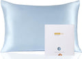 ZIMASILK 100% Pure Mulberry Silk Pillowcase for Hair and Skin Health,Soft and Smooth,Both Sides Premium Grade 6A Silk,600 Thread Count,with Hidden Zipper,1pc (Queen 20''x30'',Light Blue)