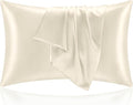 BEDELITE Satin Pillowcase for Hair and Skin, Super Soft and Cooling Similar to Silk Pillow Cases 2 Pack with Envelope Closure, Gift for Women Men(20"x26" Standard Size, Beige)