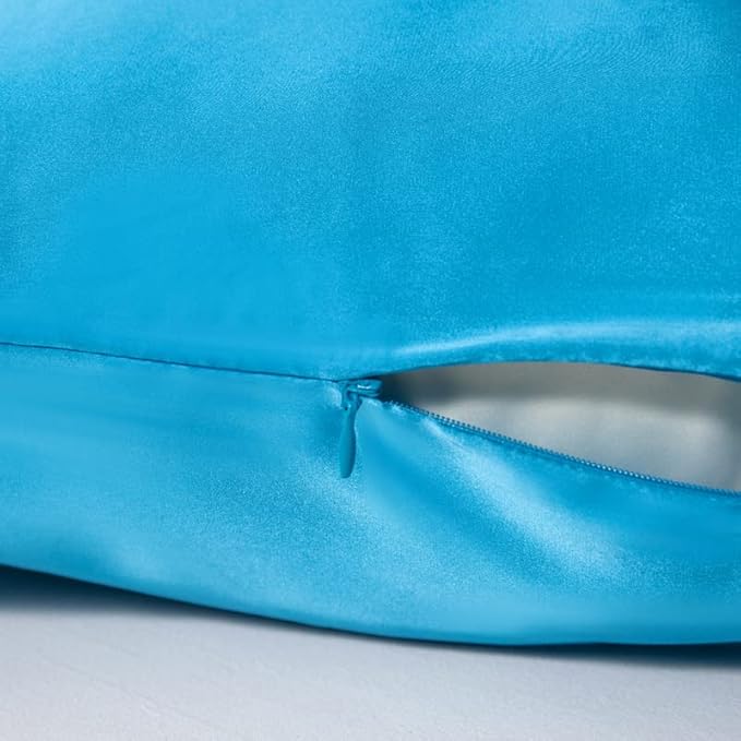 Mulberry Silk Pillowcase for Hair and Skin,King Size Cooling Silk Pillow Case with Hidden Zipper,Allergen Proof Dual Sides Soft Breathable Smooth Silk Pillow Cover for Women(King,Ice+ Blue)