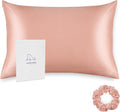 ALASKA BEAR Natural Silk Pillowcase, Hypoallergenic, 19 Momme, 600 Thread Count 100 Percent Mulberry Silk, Queen Size with Hidden Zipper (1, Dusty Pink)