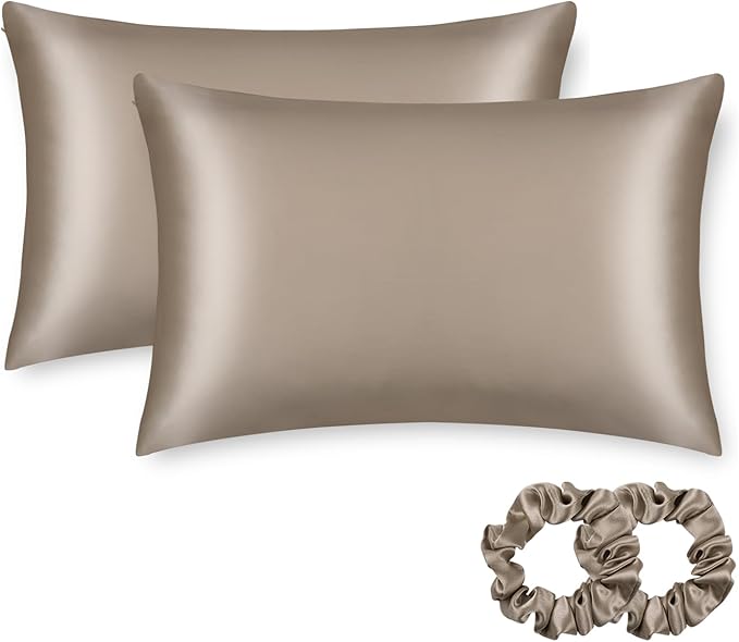 ALASKA BEAR Silk Pillowcase for Hair and Skin, Set of 2 Pure Genuine 22 Momme Mulberry Silk Pillow Cases Queen Size for Bliss Sleep Better Than Poly Satin, Zipper Closure(2pc, Taupe)