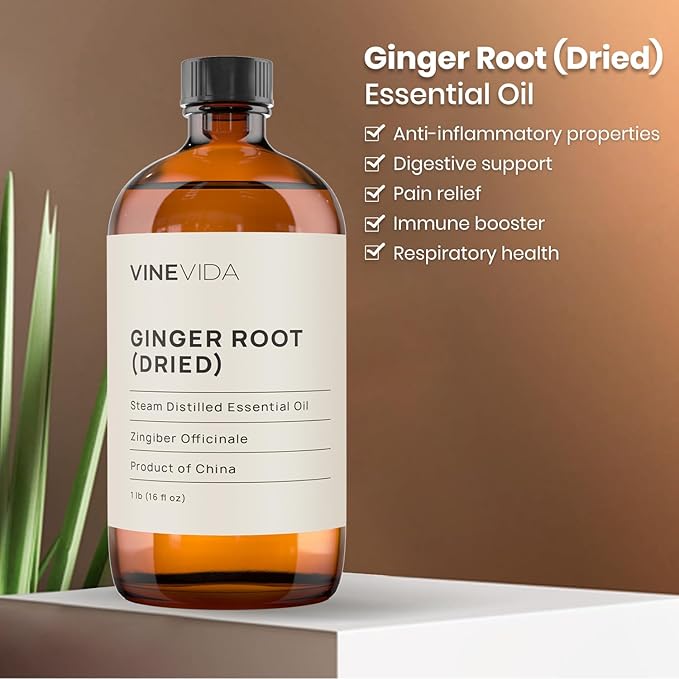 VINEVIDA Dried Ginger Root Essential Oil 16 oz - Undiluted Ginger Root Oil 16 oz - Ginger Root Candle Oil Scent - DIY Candle Scents for Candlemaking - Bulk Essential Oil for Soap Making Safe for Skin
