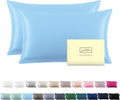 Silk Pillow Cases 2 Pack Soft Breathable and Sliky Queen Size Pillow Cases Set of 2,Natural Mulberry Satin Silk Pillowcase with Hidden Zipper for Hair and Skin (Sky Blue,20"X 30",2pcs)