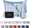 Mulberry Silk Pillowcase for Hair and Skin,Cooling Silk Pillow Case with Hidden Zipper,Allergen Proof Dual Sides Soft Breathable Smooth Silk Pillow Cover for Women (Light Blue,Toddler)