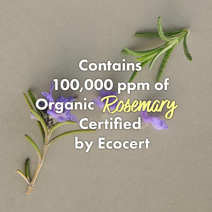 RATED GREEN Rosemary Balancing Scalp Pack | Organic Cold Brewed Charcoal | 2-in-1 Detoxifying Hair Mask for Flaky, Oly Scalp & Hair | Silicone-Free, Korean Hair Care | 6.76 Fl. Oz