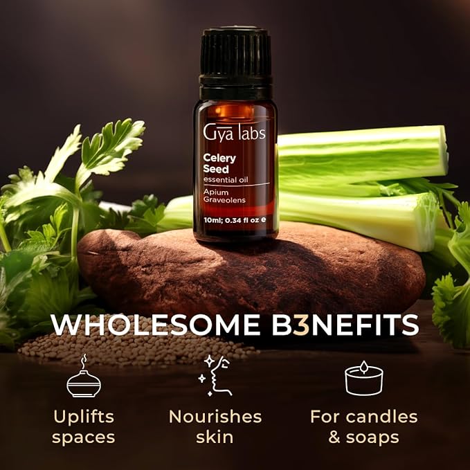 Gya Labs Celery Seed Essential Oil - 0.34 Fl Oz - for Hair, Skin, Diffuser, Aromatherapy & DIY Candle Making Scent