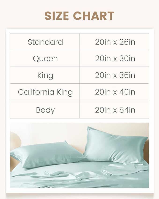 THXSILK 100% Mulberry Silk Pillowcase for Hair and Skin, Grade 6A+ Mulberry Silk Pillow Case Soft and Breathable, Hypoallergenic Pillow Case Cover with Zipper, 1pc (Queen 20"x30", Light Blue)