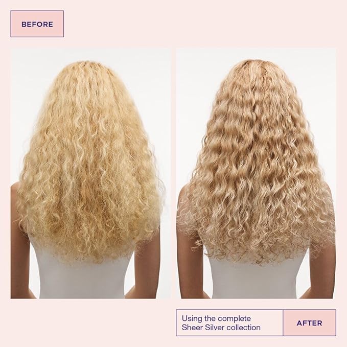 Maria Nila Sheer Silver, Shampoo 3.4 Fl Oz, Neutralizes Golden Shades, Violet Pigments Gives Cool Tone, 100% Vegan & Sulfate/Paraben free