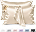 Silk Pillow Cases 2 Pack Standard Size Mulberry Silk Pillowcase Set of 2 for Hair & Skin 26 x 20 Inches 22 Momme Both Sided Grade 6A Silk Soft Breathable Cooling with Hidden Zipper, Beige