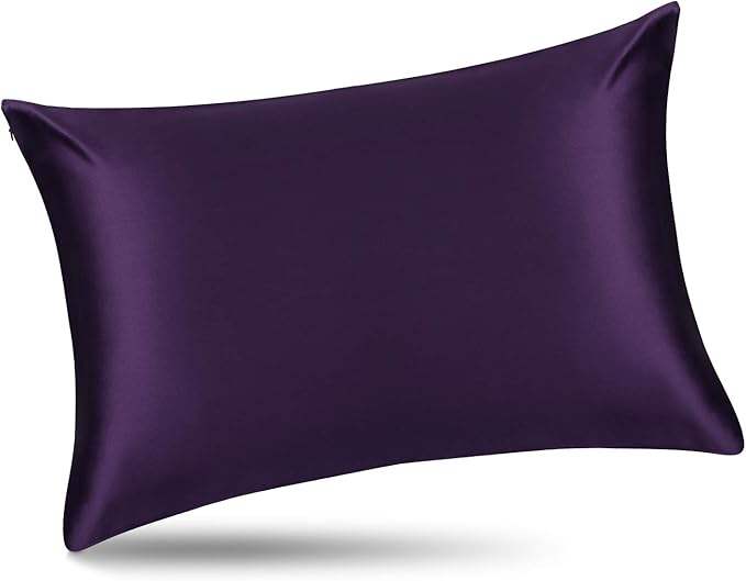 ALASKA BEAR Silk Pillowcase for Hair and Skin, Set of 2 Pure Genuine 22 Momme Mulberry Silk Pillow Cases Queen Size for Bliss Sleep Better Than Poly Satin, Zipper Closure(2pc, Dark Purple)