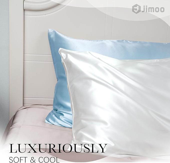 100% Mulberry Silk Pillowcase for Hair and Skin, 22 Momme Pure Natural Silk Pillow Case Both Sided with Zipper, Pillow Cover for Women Mom Men (Light Blue, Queen 20''×30'', 1 Pack)