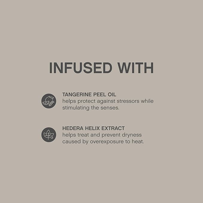 KEVIN.MURPHY SESSION.SPRAY - Strong Hold Finishing Hair Spray - For All Hair Types - Long Lasting Hold - Humidity Resistant Hair Care - 100 mL / 3.4 fl oz (Pack of 2)