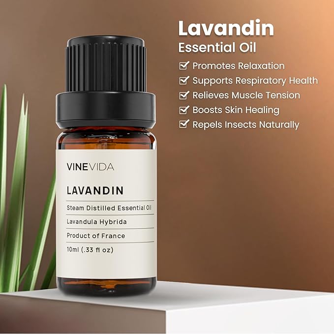 VINEVIDA Lavandin Essential Oil 10 mL - Undiluted, Pure, Vegan, Reusable Glass Bottle