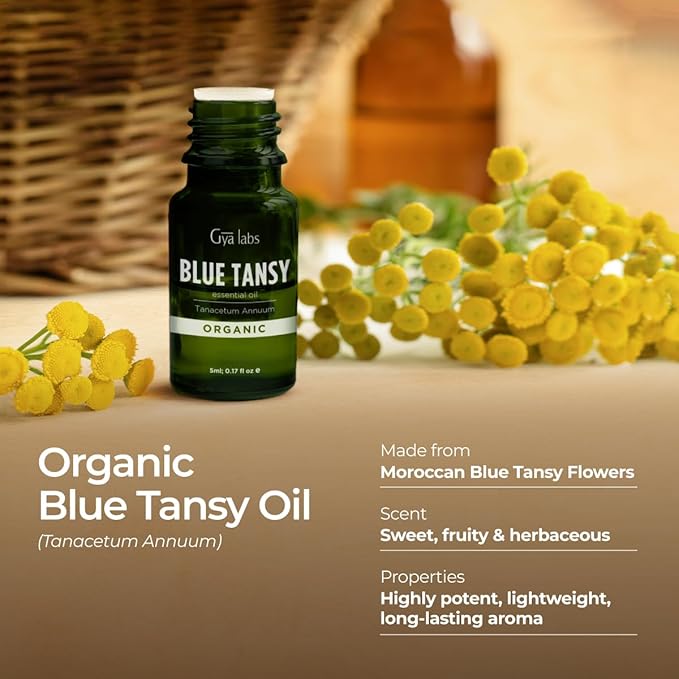 Gya Labs Blue Tansy Essential Oil - 0.17 Fl Oz - for Hair, Skin, Diffuser, Aromatherapy & DIY Candle Making Scent