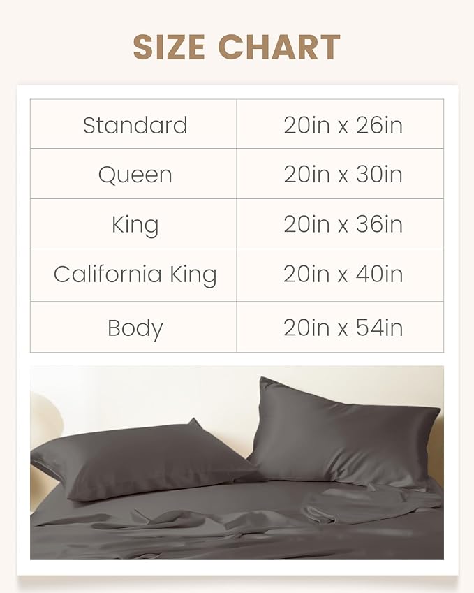 THXSILK Set of 2 100% Mulberry Silk Pillowcases for Hair and Skin, Both Sides 19 Momme Pure Natural Silk Pillowcase, Soft Breathable Zipper Pillow Cases Queen Size 20"x30", Dark Grey