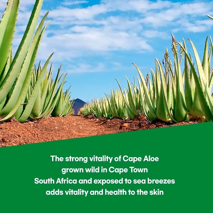 by.H Organic Aloe Vera Bulk Soothing Gel-Natural Moisturizer for Skin [90 PCS], Hair, Effective for Sunburns, Razor Burns, Gentle, Non-Greasy, Skincare [Made in Korea] Pouch - (3 Packs of 30 PCS)
