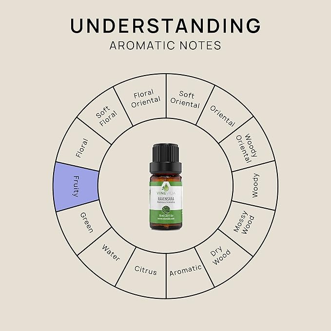 VINEVIDA Ravensara Essential Oil - Undiluted Ravensara Candle Oil Scent - DIY Candle Scents for Candlemaking - Skin-Safe 10 mL Essential Oil for Soap Making