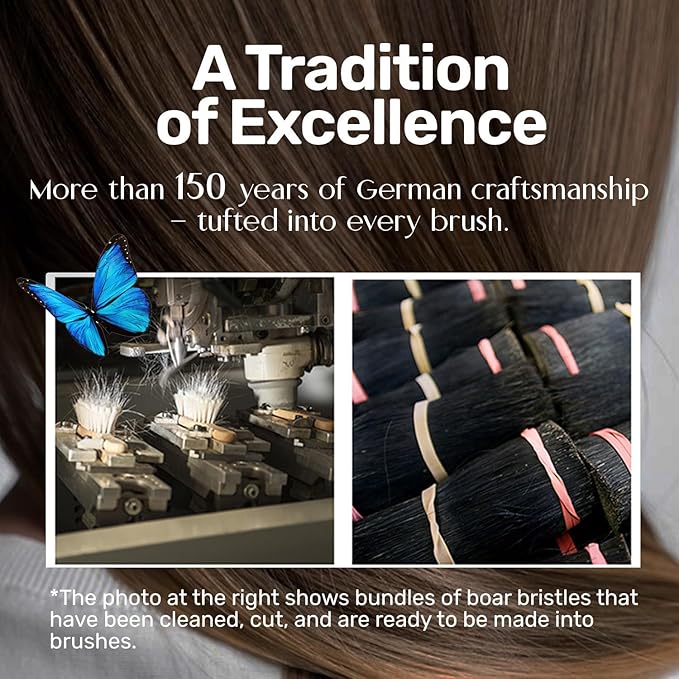 100% Pure Calcutta Boar Bristle Hairbrush for Natural Healthy Hair, Stiff Bristle, Made in Germany's Black Forest