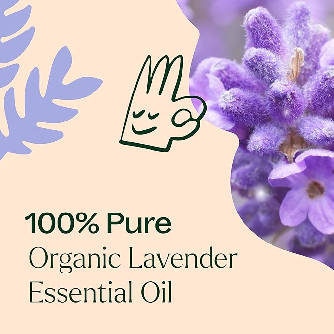 Plant Therapy Organic Lavender Essential Oil 100% Pure, USDA Certified Organic, Undiluted, Natural Aromatherapy for Diffusion & Topical Use, For Skin, Hair, Relaxation, Premium Therapeutic Grade 30 mL