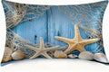 1 Pack Satin Pillowcase for Hair and Skin Sea Beach Starfish Fishing Net Imitation Silk Pillowcase with Hidden Zipper Soft Breathable Pillow Cover Standard Size for Bedroom Sofa 20”x26”
