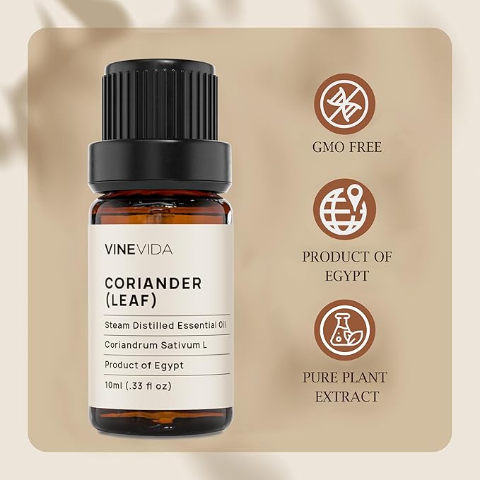 VINEVIDA Coriander Essential Oil - Undiluted Leaf Oil - Candle Oil Scent - DIY Candle Scents - 10 mL for Soap Making