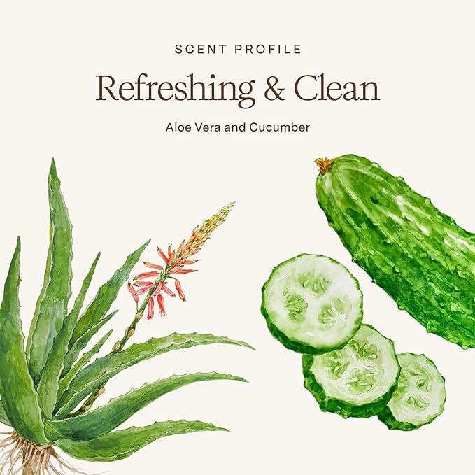Rahua Aloe Vera Conditioner, Vegan Clarifying Conditioner for Women, Color Safe Hair Care with Aloe Vera, Cucumber Extract, Witch Hazel Oil, Sulfate Free, Soothes Dry Scalp, 9.3 Fl Oz