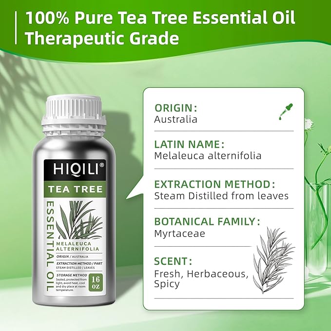 HIQILI Tea Tree Oil for Skin, Hair Restoration, Added to Shampoo, Body Wash, Foot Soak Use - 16 Fl Oz