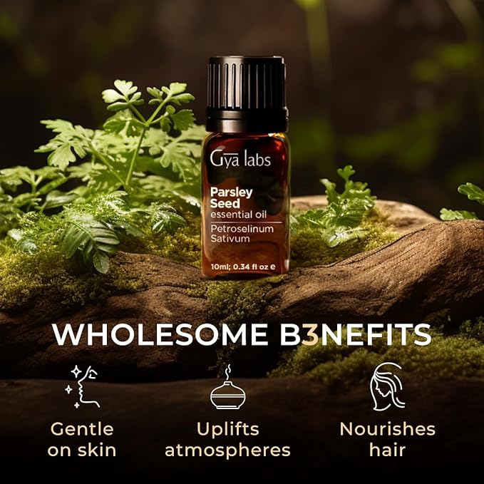 Gya Labs Parsley Essential Oil - 0.34 Fl Oz - for Hair, Skin, Diffuser, Aromatherapy & DIY Candle Making Scent