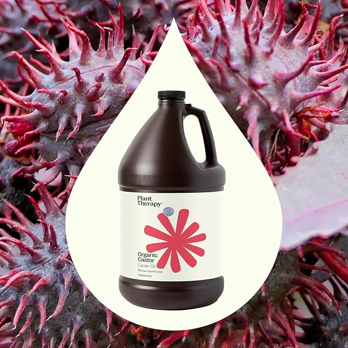 Plant Therapy Castor Oil USDA Organic Cold Pressed 100% Pure Hexane Free 1 Gallon, Conditioning & Healing, for Dry Skin, Hair Growth, Eyelashes