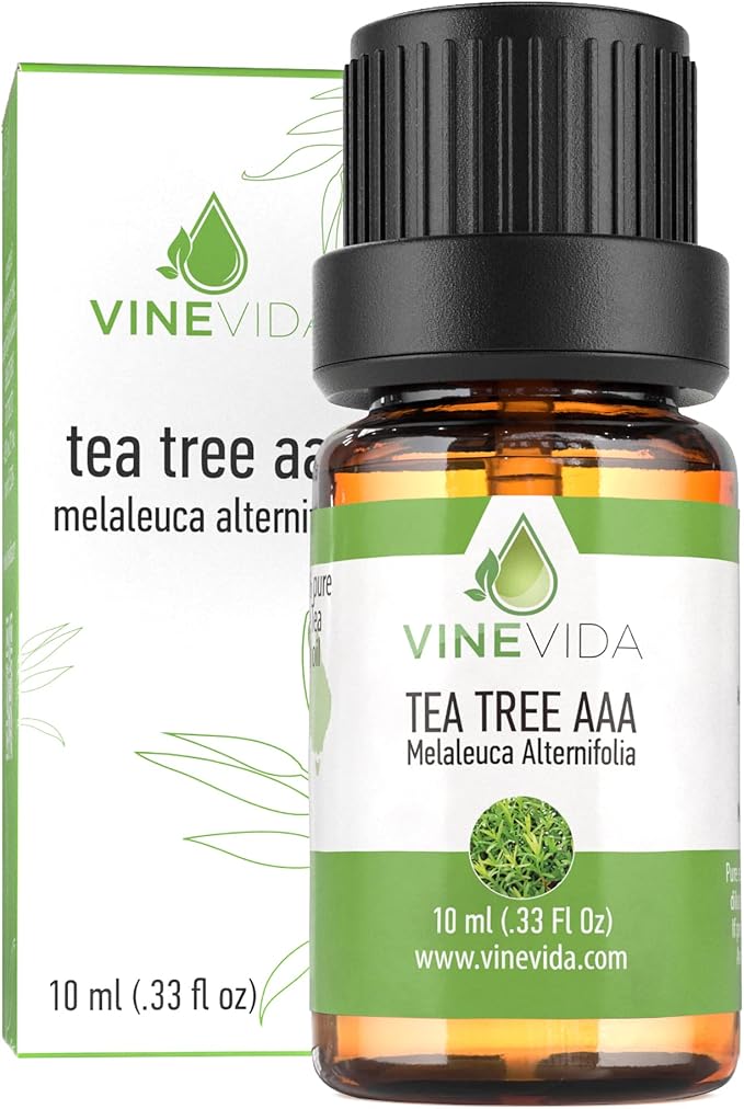 VINEVIDA Tea Tree Essential Oil - Undiluted, 10 mL - Candle Oil Scent - DIY Candle Scents - Safe for Soap Making & Skin