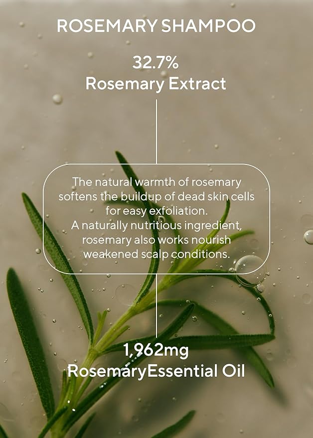 AROMATICA Rosemary Scalp Scaling Shampoo and Conditioner Set 13.53 fl.oz each – Vegan Korean Hair Care Gift Set for Woman with Rosemary Oil. Sulfate Free Shampoo Conditioner For Hair Growth