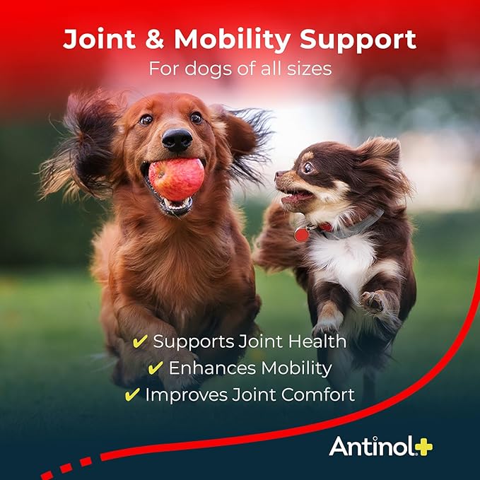Antinol Plus, Mobility, Hip, and Joint Supplement for Dogs, Green-Lipped Mussels and Krill Oil - Dog Joint Supplement, Better and Faster Than Glucosamine and Chondroitin, 90 Soft Gels