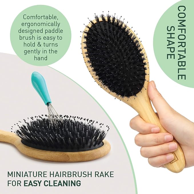 Natural Boar Bristle Hair Brush for Women, Men, Kids; Dry and Wet Detangling Hair Brush Gently Enhances Shine, Smooths Frizz and Prevents Breakage in Fine and Straight, Thick and Curly Hair (oval)