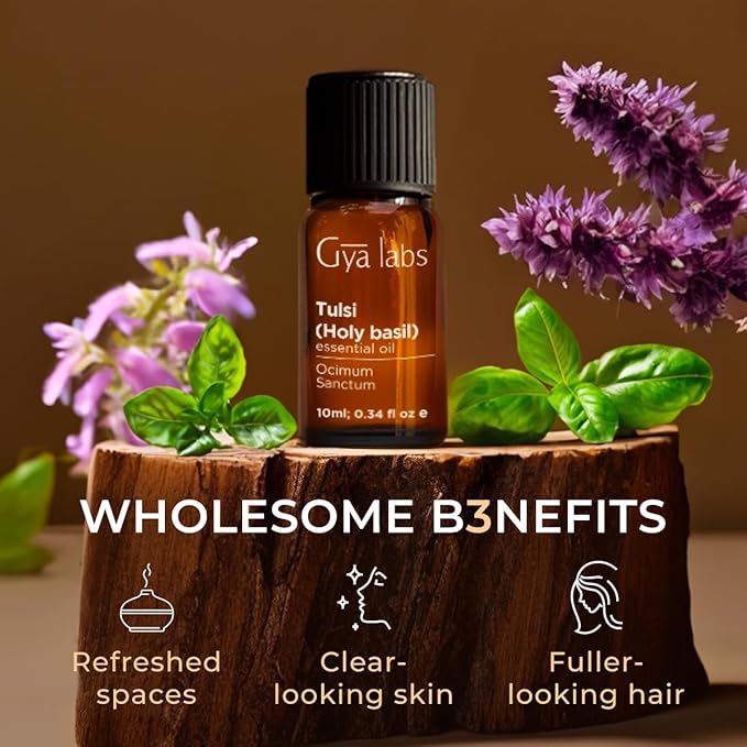 Gya Labs Holy Basil (Tulsi) Essential Oil - 0.34 Fl Oz - for Hair, Skin, Diffuser, Aromatherapy & DIY Candle Making Scent