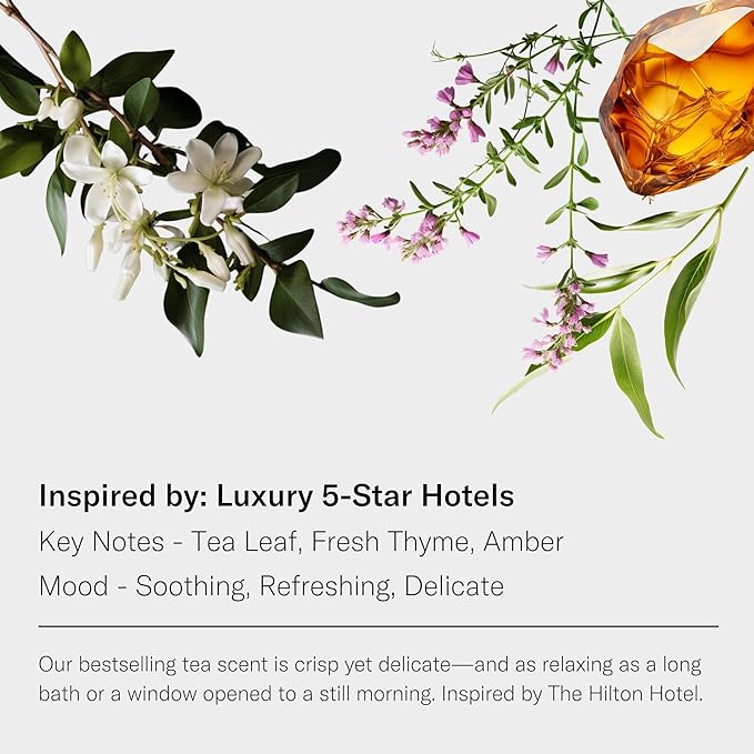 AromaTech White Tea and Thyme Aroma Essential Oil Blend: Luxury Hotel Inspired Aromatherapy with Tea Leaf, Fresh Thyme & Amber for Ultrasonic Diffusers & Nebulizers - 16 fl oz, 500 mL