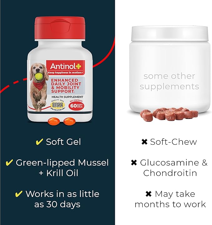 Antinol Plus, Mobility, Hip, and Joint Supplement for Dogs, Green-Lipped Mussels and Krill Oil - Dog Joint Supplement, Better and Faster Than Glucosamine and Chondroitin, 90 Soft Gels