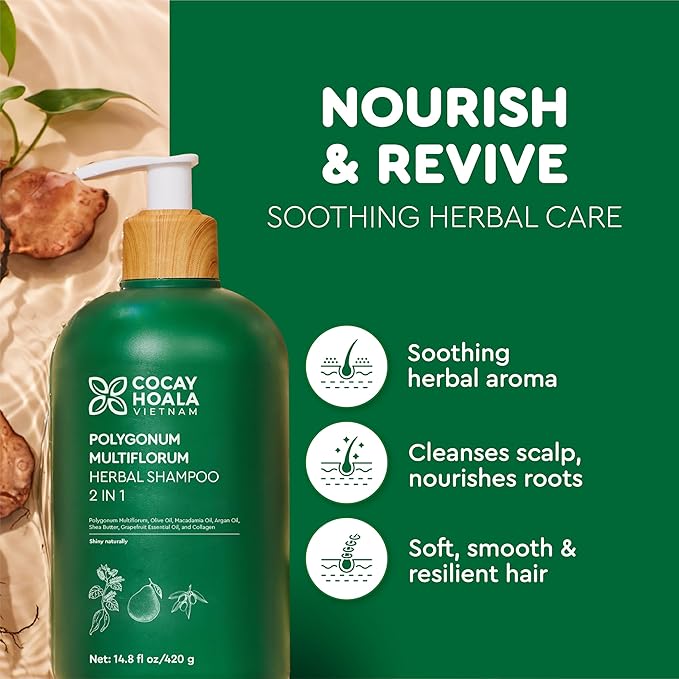 Vietnam's Touch | COCAY HOALA Polygonum Multiflorum 2in1 Herbal Shampoo – Strengthen Weak Roots, Reduce Hair Fall, Revive Lifeless Hair, Deeply Nourish & Soften – Paraben Free (14.8 oz)