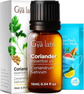 Gya Labs Coriander Essential Oil - 0.34 Fl Oz - for Hair, Skin, Diffuser, Aromatherapy & DIY Candle Making Scent