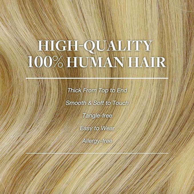GOO GOO Clip in Hair Extensions Real Human Hair, Remy Human Hair Extensions Clip ins for Women, Natural Human Hair, 20inch 80g 2Pcs, #16/22 Light Blonde Highlighted Golden Blonde