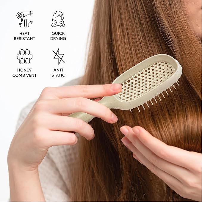 TADA Natural Beauty Hair Brush Detangler for Curly, Thick, Wavy, and Thin Hair - Ventilation Holes for Quick Drying and Styling, Detangler Brush for Women, Men, Kids (4 Colors) (Beige)