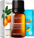 Gya Labs Clementine Essential Oil - 0.34 Fl Oz - for Hair, Skin, Diffuser, Aromatherapy & DIY Candle Making Scent