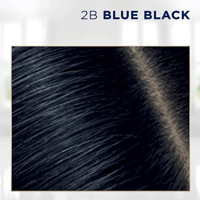 Clairol Root Touch-Up by Nice'n Easy Permanent Hair Dye, 2B Blue Black Hair Color, Pack of 1 (Pack of 2)