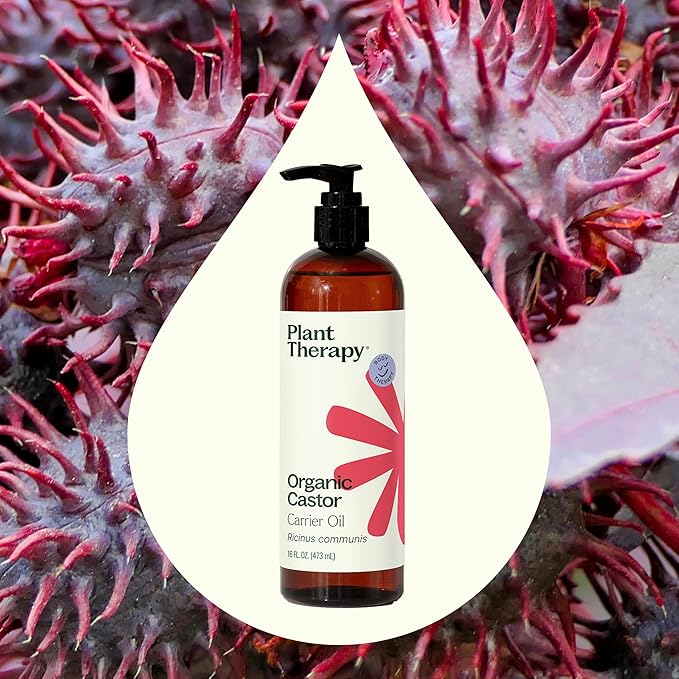 Plant Therapy Castor Oil USDA Organic Cold Pressed 100% Pure Hexane Free 16 oz Conditioning & Healing, For Dry Skin, Hair Growth, Eyelashes