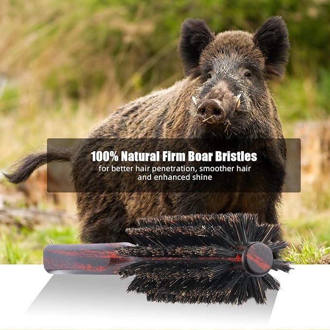PERFEHAIR Soft Boar Bristle Round Brush for Fine, Thin Hair or Beards - 1.3 inch for Drying, Styling, Curling, Adding Volume