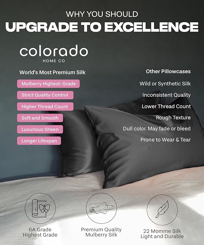 SUNDAYSILKS™ Silk Pillow Cases 2 PACK | 22 Momme Mulberry Silk Pillowcase Set of 2 | Standard Queen, King Size | All Sides 100% Pure Silk Slip Pillowcase Bliss for Women with Zipper [Charcoal Essence]