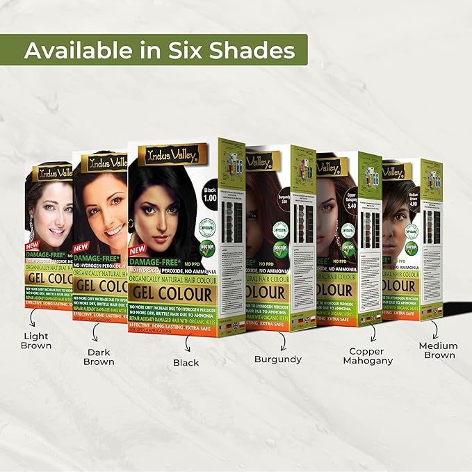 Indus Valley Organic Damage Free Gel Hair Color | Gray Coverage of Resistant Gray Hairs - Ammonia-Free & Vegan - Salon Influenced Hair Dye | Permanent Hair Dye For Women, Black 1.0, 8.45 fl. oz.