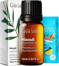 Gya Labs Niaouli Essential Oil - 0.34 Fl Oz - for Hair, Skin, Diffuser, Aromatherapy & DIY Candle Making Scent