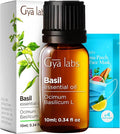 Gya Labs Basil Essential Oil - 0.34 Fl Oz - for Hair, Skin, Diffuser, Aromatherapy & DIY Candle Making Scent