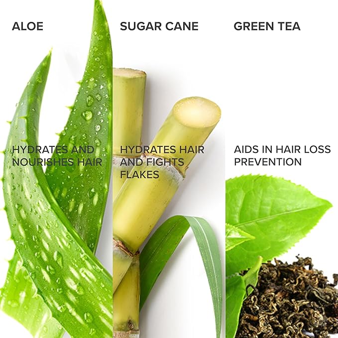 Shedavi Hair Masque - Protein Treatment with Keratin Building Aminos for Dry, Damaged Hair